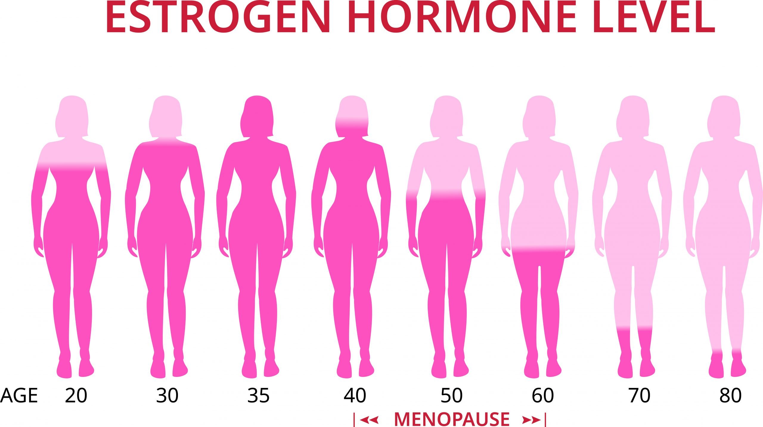 What Hormones Are Highest During Your Period